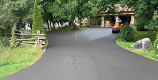 Best Driveway Pressure Washing  in Paisley, FL